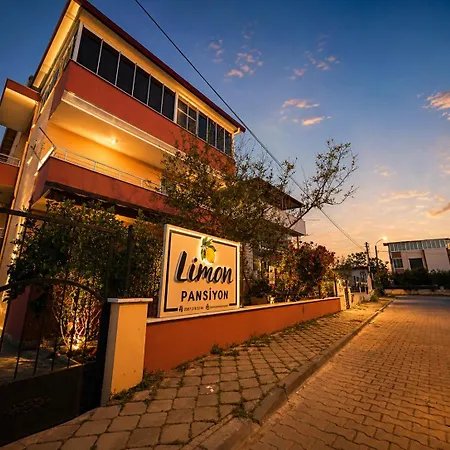 Limon Проживание в семье Орен