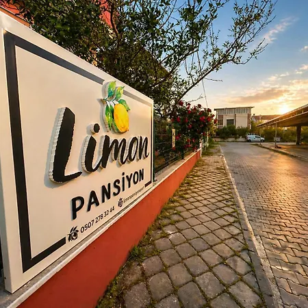 Проживание в семье Limon *